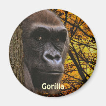 Utsatt för fara afrikansk gorilla & trädkonstmagne magnet för kylskåp