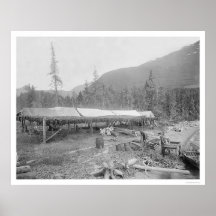 Uttorkninglax i Alaska 1915 Affischer