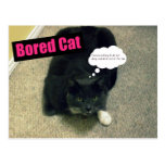 Uttråkad katt vykort