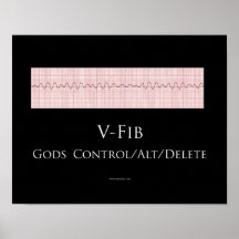 V-Fibaffisch