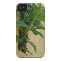 Väggblomma iPhone 4 Case-Mate Skydd