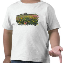 Vägrenvildblommar i Texas, vår 3 T-shirts