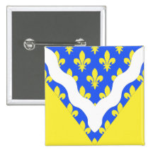 Val-de-Marne frankrikeflagga Nål