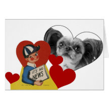 Valentin 10 för hundfotovintage kort