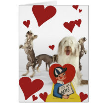 Valentin 16 för hundfotovintage kort