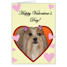 Valentin kort för Shih Tzu hälsning