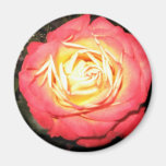 Valentines dayro kylskåpmagneter