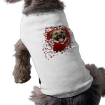 Valentines - nyckel till min hjärta - Pitbull - Ti Kläder För Husdjur