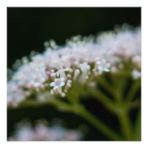 Valerian Inbjudan