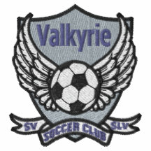 Valkyrie lagledareskjorta broderade polo tröjor