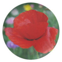 Vallmoblomma och menande dinner plate