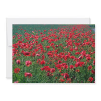 Vallmor i Danmark blommor Individuella Inbjudningskort