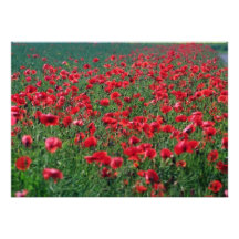 Vallmor i Danmark blommor Individuella Inbjudningskort
