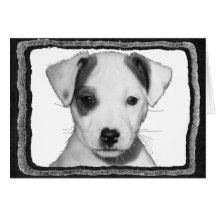 Valp för jackRussell Terrier Hälsnings Kort