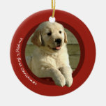 Valp första jul (den guld- retrieveren) juldekoration