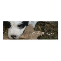 Valp på ett löv - gammal engelsk Sheepdogvalp Visit Kort