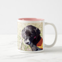Valpkärlek Kaffe Mugg