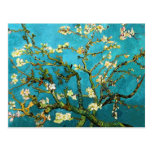 Van Gogh som blomstrar konst för mandelträd (F671) Vykort