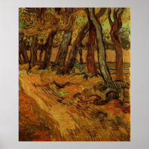 Van Gogh trädgård av det St Paul sjukhuset med fig Posters