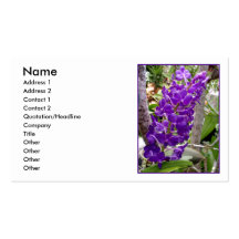 Vanda Orchids Visit Kort