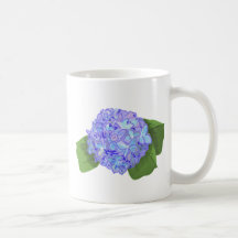 vanlig hortensia kaffe muggar