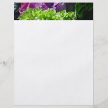 Vanlig hortensia personliga flygblad
