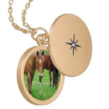 VÄNLIGA HÄSTAR SKRÄDDARSYDDA HALSBAND