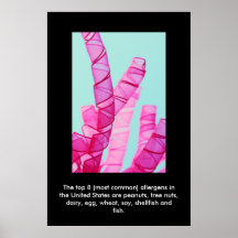 Vanligt matallergier posters