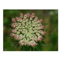 Vänta som blommar vykort