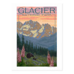 Vår blommor - glaciärnationalpark, MT Vykort