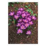 Vår blommor hälsningskort