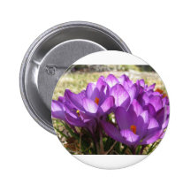 Vår blommor nål