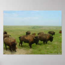 Var buffeln Roam-02 Posters
