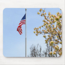 Vår i Amerika Musmatta