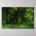 Vår i skogen 02 print