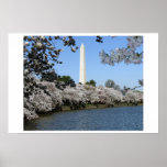 Vår i Washington, DC Posters