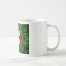 Vår Kaffe Kopp
