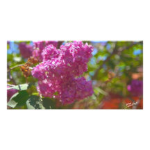 Vårblommar Anpassade Foto Kort