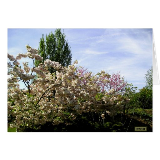Vårblommar Kort