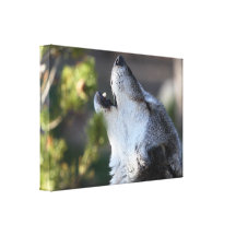 varg canvasduk med gallerikvalitet 
