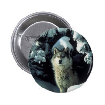 Varganseende i snö pins