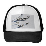 Varger Trucker Keps