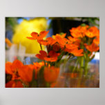 ~ varje blomma är en soul som ut blomstrar till na print