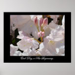 Varje dag nytt läka för börjanRhododendrons Posters