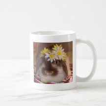 Vårkaniner Kaffe Muggar