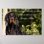 Våt affisch för Gordon Setter
