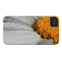 Våt daisy Case-Mate iPhone 4 skal