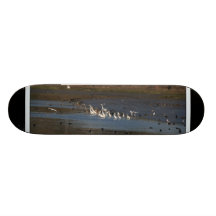 VåtmarkfågelSkateboard