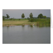 Vatten & Egret Hälsningskort
