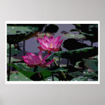 Vatten Lilly 36 x 24 affisch